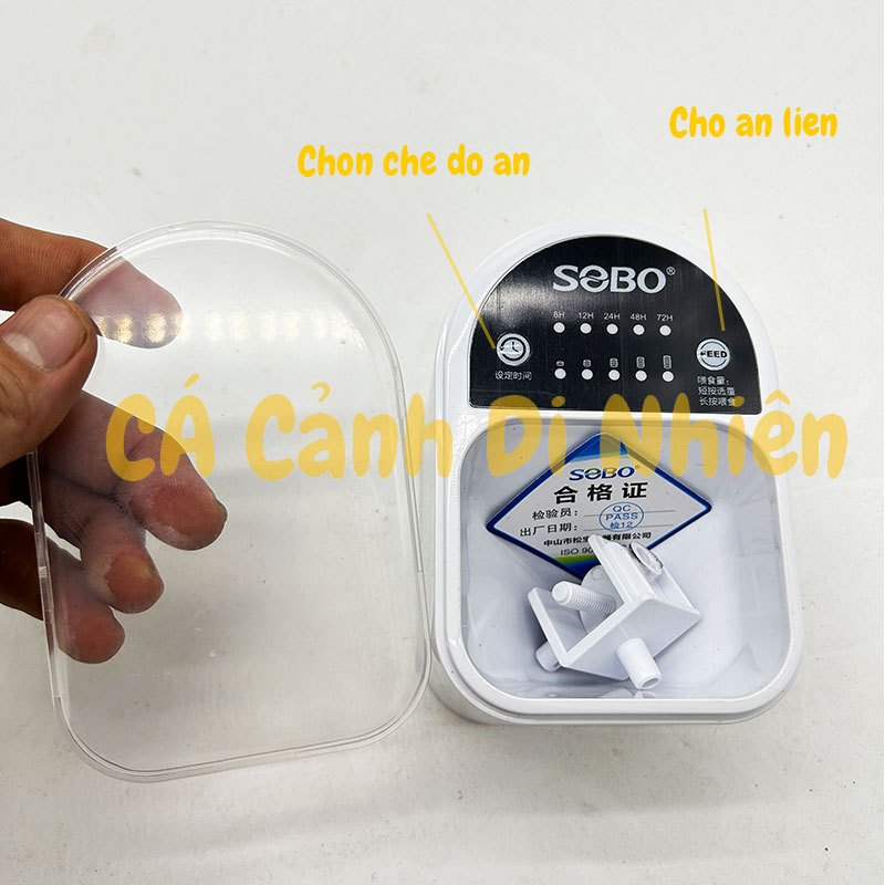 Máy cho cá ăn tự động SOBO DA-06 Máy hẹn giờ cho cá ăn DA06 Time auto feeder