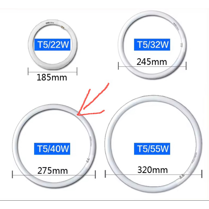 BÓNG VÒNG T5 40 philips
