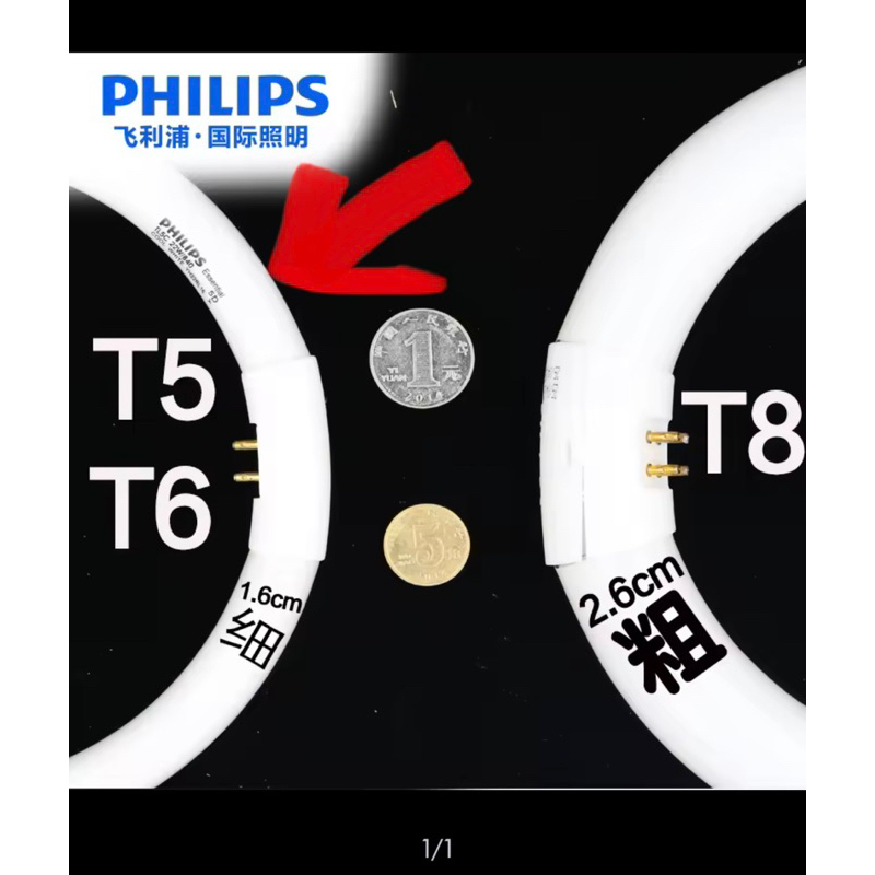 BÓNG VÒNG T5 40 philips