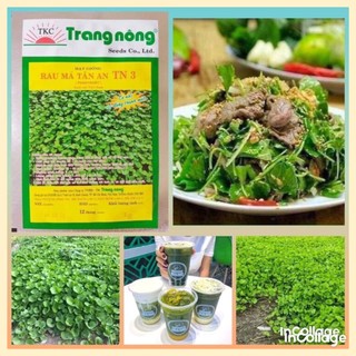 Hạt giống rau má ta lá nhỏ Trang Nông 1gram
