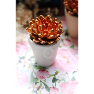 CHẬU HOA GIẤY - ĐẤT NUNG (màu trắng)