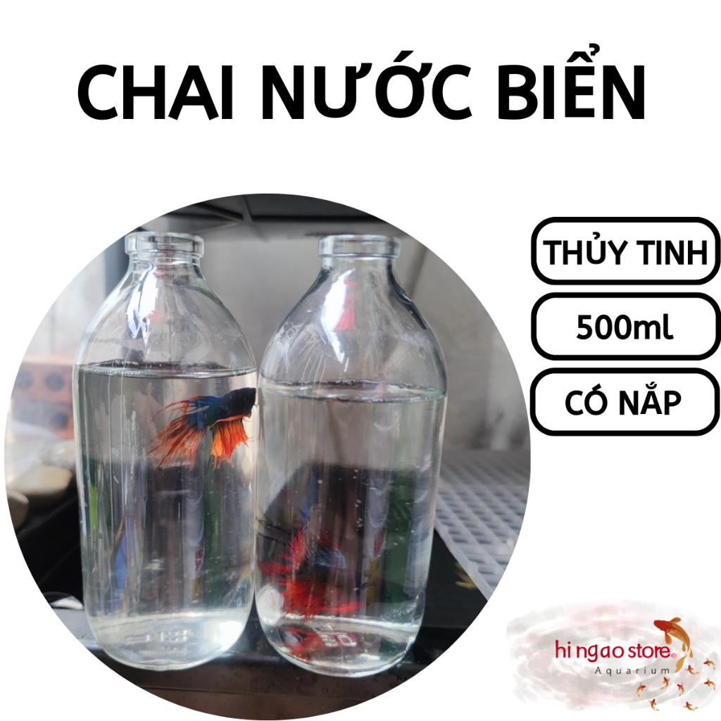 Keo nước biển 500ml | Hingaostore.
