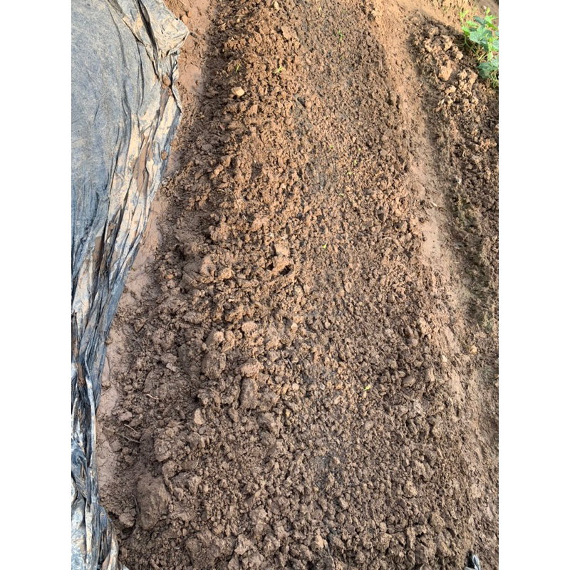 5kg đất thịt trồng rau, cây trồng