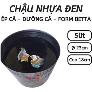 Chậu nhựa đen - Ép cá, dưỡng cá, form cá , trồng cây - Phụ kiện cá cảnh | Hingaostore.