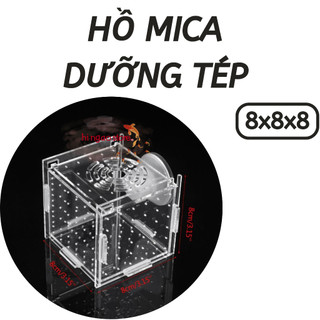 Box tép 8x8x8 - Hồ mica siêu trong 8x8x8 dưỡng cá tép - Phụ kiện cá cảnh | Hingaostore.