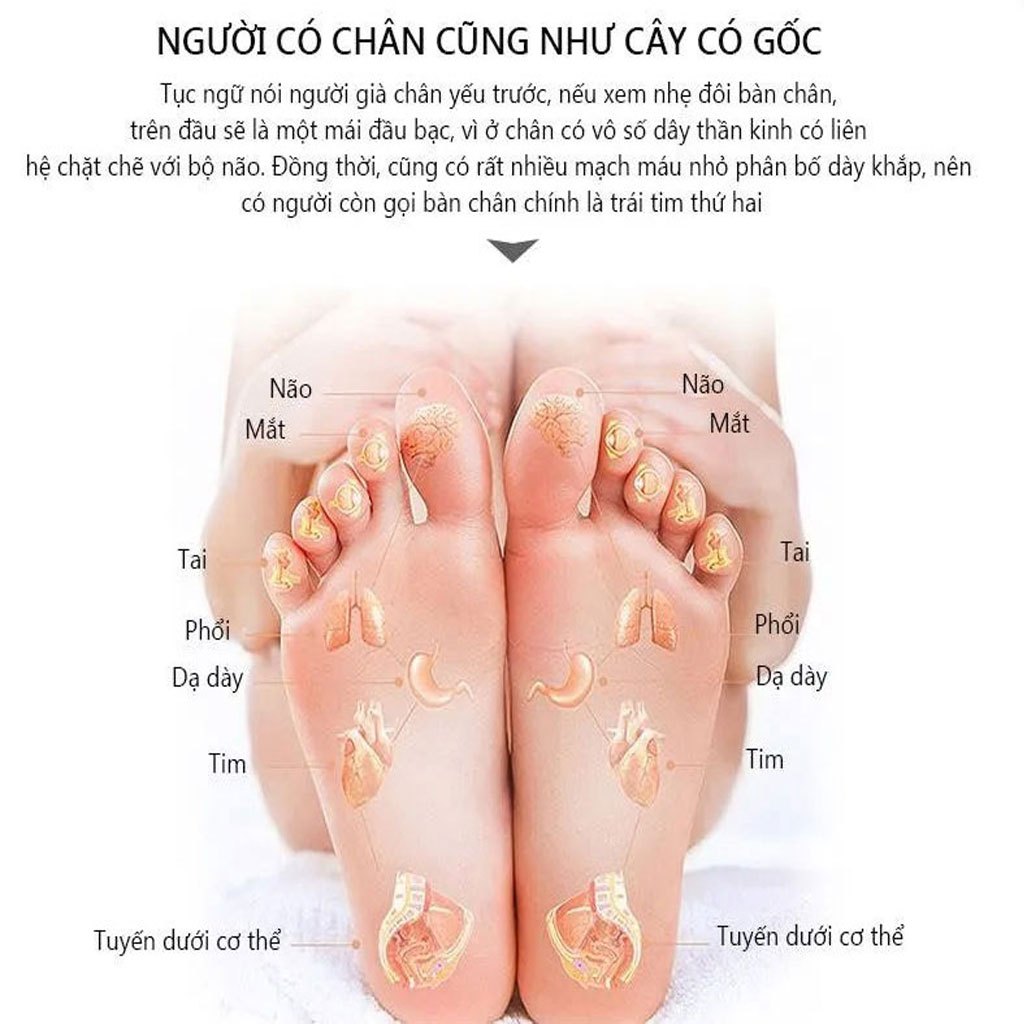 Máy massage chân YD-L06, máy mát xa chân hồng ngoại công nghệ nhật bản với 20 bi công nghệ mát xa 6d.