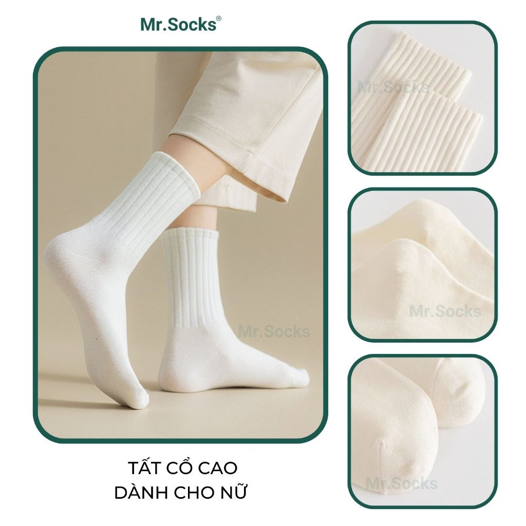 Tất nữ cao cổ trơn màu Mr.Socks cổ sọc gân, chất vải co giãn 4 chiều, dày dặn thoáng khí - OAS-1701-1DOI