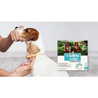 Vòng cổ trị ve rận cho chó Kiltix