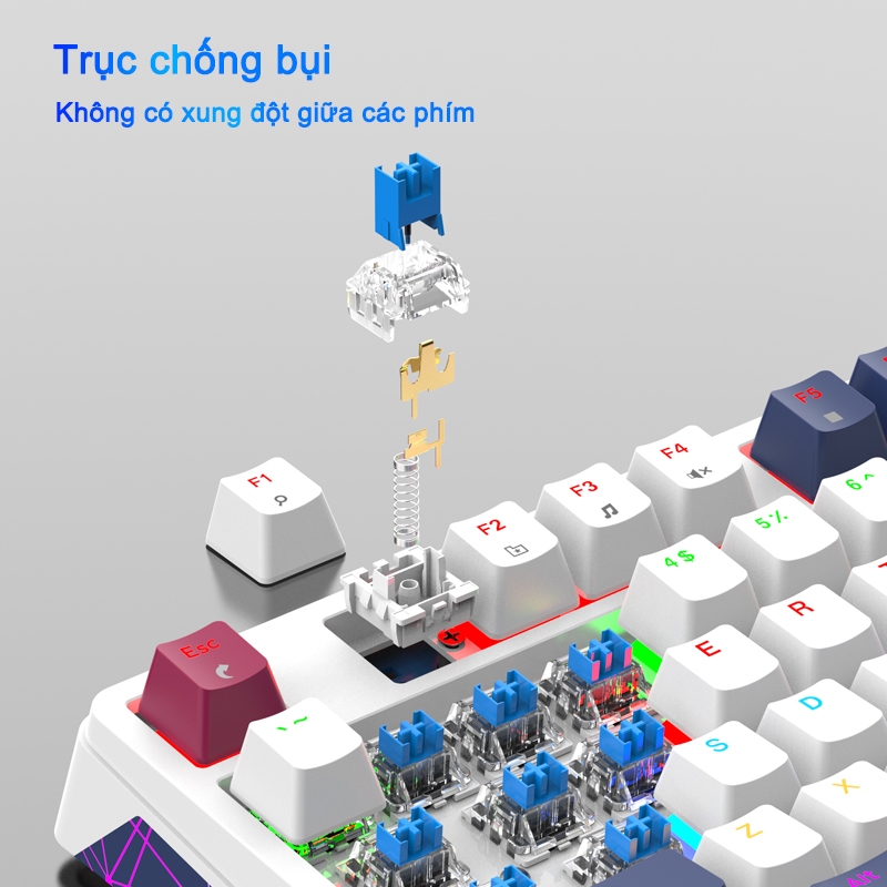 Bàn phím Cơ K85 Ba Màu Kết Hợp Có Đèn LED RGB Bàn Phím Chơi Game 96 Phím Có Có Thể Tháo Lắp Nóng
