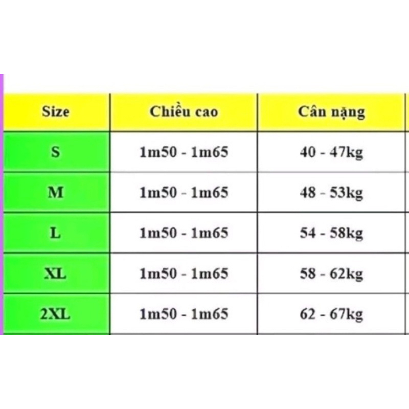ÁO DÀI CÁCH TÂN ĐÍNH HOA