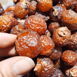 Bồ Hòn Tách Hạt 500g (loại nhiều mật)