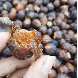 Bồ Hòn Tách Hạt 500g (loại nhiều mật)