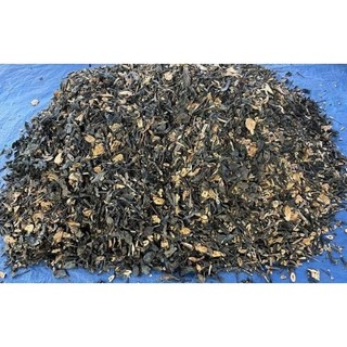 Cây sói rừng 1kg ( giá sỉ )