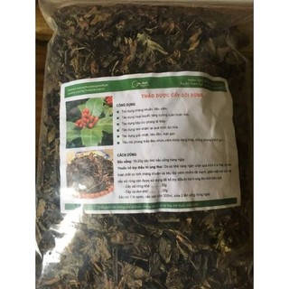 Cây sói rừng 1kg