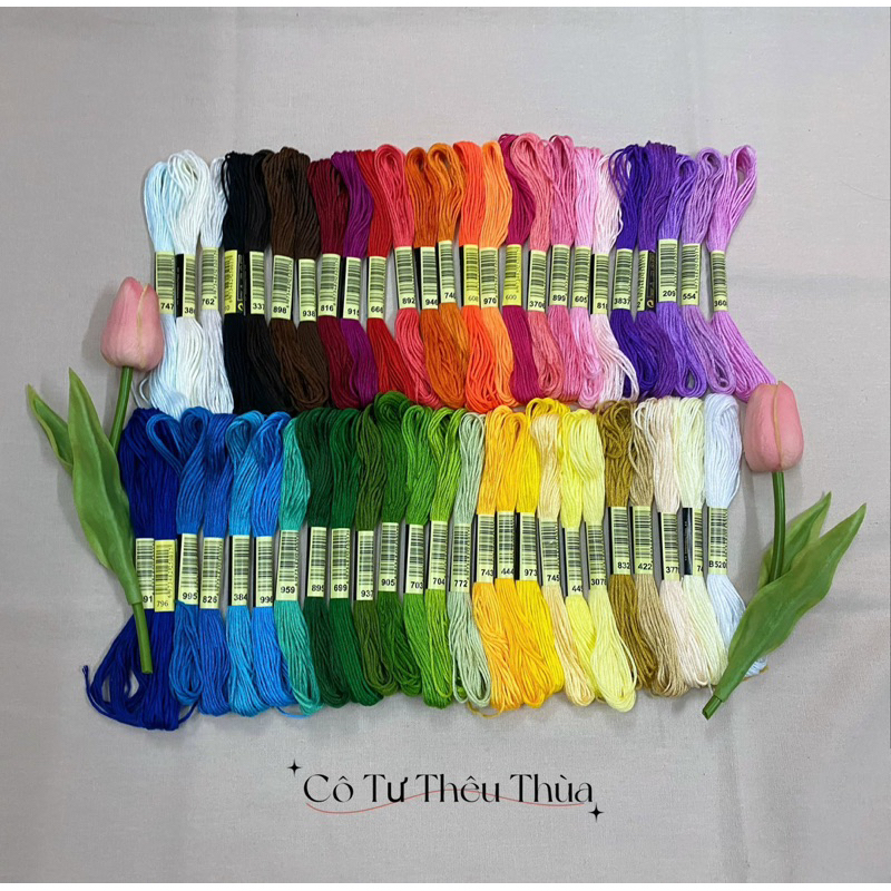 Set chỉ thêu tay, thêu tranh chữ thập 24 màu, 50 màu, 100 màu