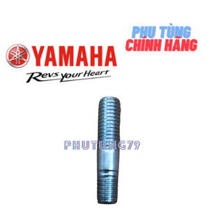 tán cùi dĩa, ốc cùi dĩa exciter 2006-2014