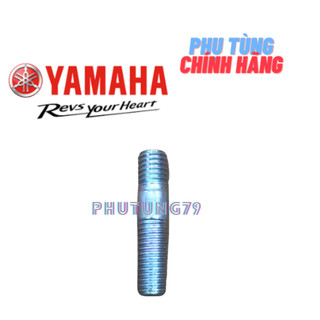 tán cùi dĩa, ốc cùi dĩa exciter 2006-2014