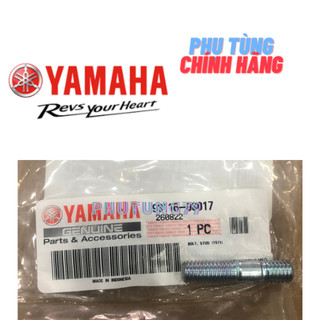 tán cùi dĩa, ốc cùi dĩa exciter 2006-2014