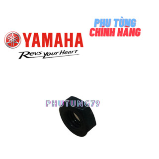 tán cùi dĩa, ốc cùi dĩa exciter 2006-2014