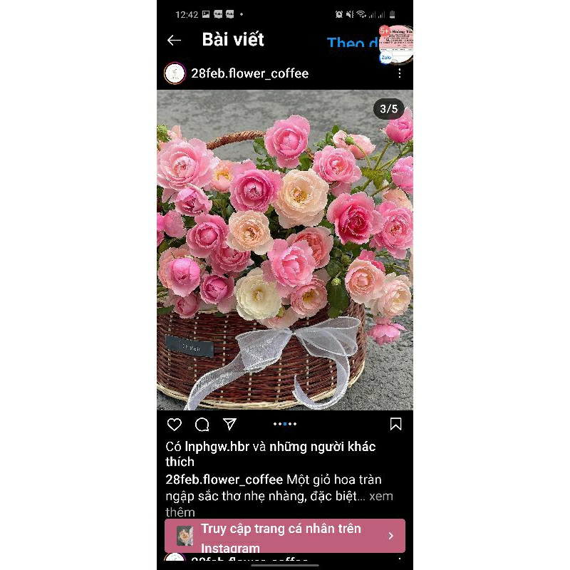 Túi Xách mây cắm hoa