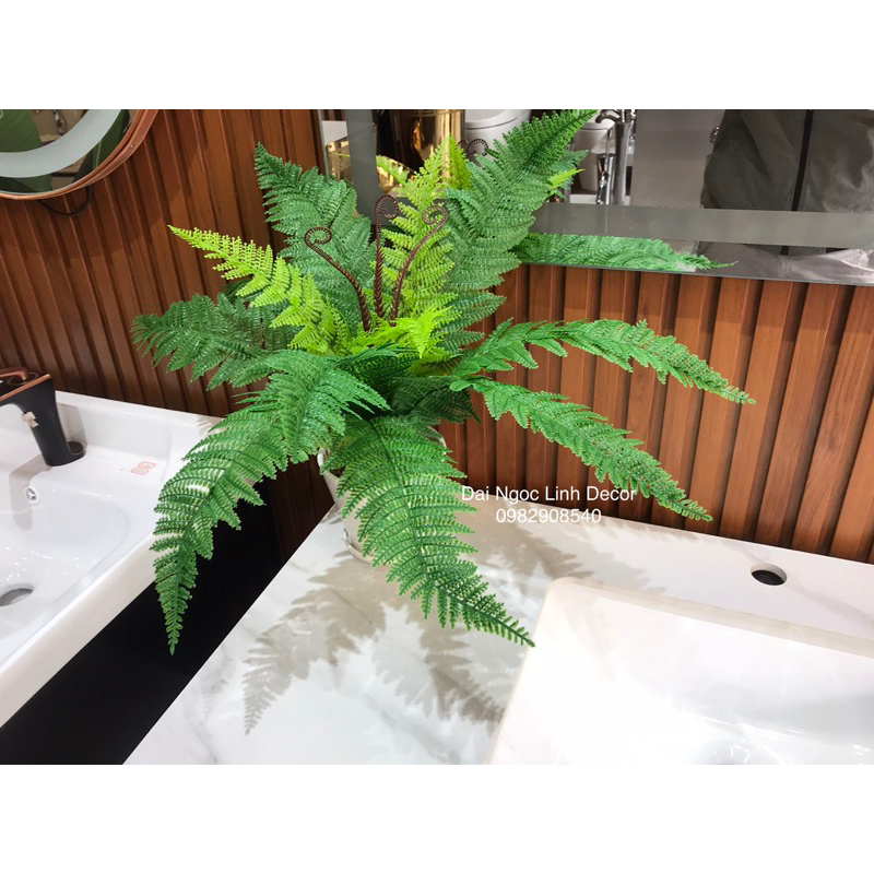 Cây dương xỉ giả trang trí