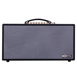 Loa Acnos CS450SRV