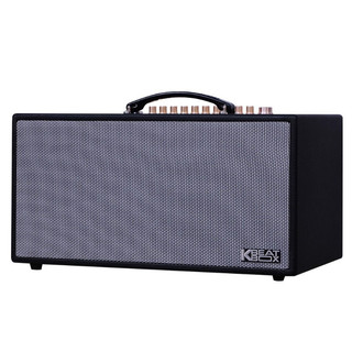 Loa Acnos CS450SRV