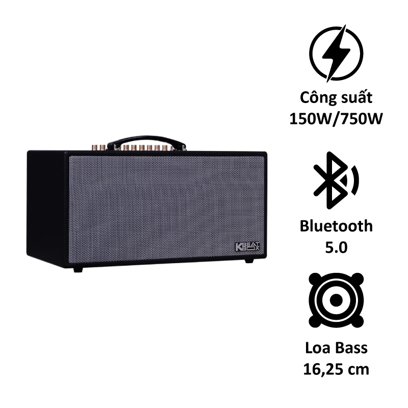 Loa Acnos CS450SRV