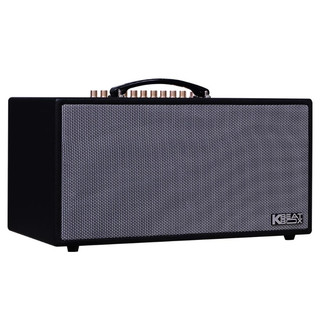 Loa Acnos CS450SRV