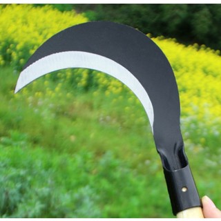 liềm giựt cành cây, cu lim giựt cành cây, liềm móc cành cây