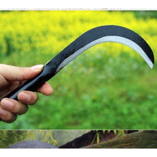 Liềm giựt cành cây, cu lim giựt cành cây