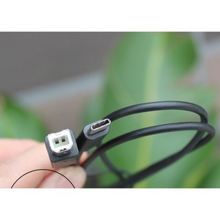 [Original] Cáp máy in Prolink Type-C to USB 2.0 cổng vuông 1m