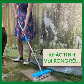 Bàn Chải Đánh Bay Mọi Rêu Rong.Hết Trơn Trượt.
