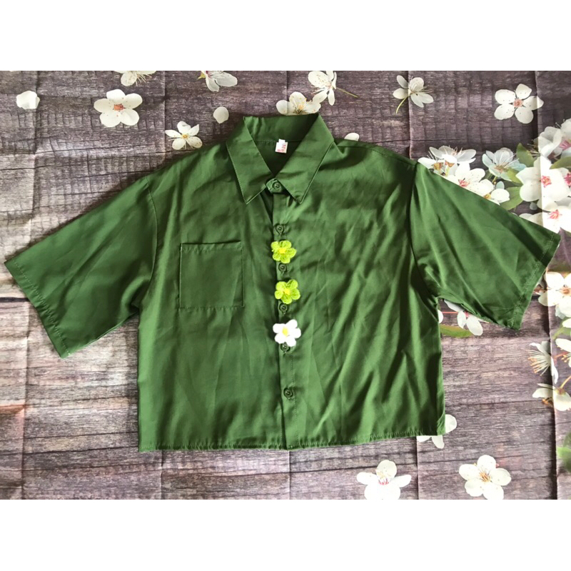 Pass Áo Ngắn Tay Phong Cách Trung Hoa