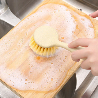 Cây rửa chén lúa mạch