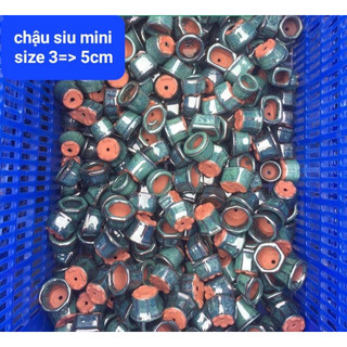 Chậu mini men xanh hợp sen đá , xương rồng cây bonsai miệng chậu từ 3 - 5cm