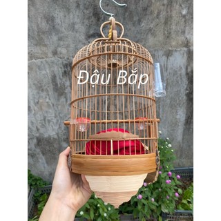 Lồng chim khuyên, hút mật nan mau, Lồng khuyên, Hút mật giá rẻ xử lý