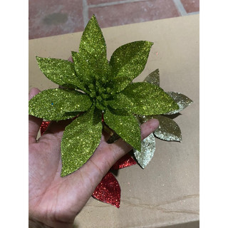 Hoa trà Đại 15 cm