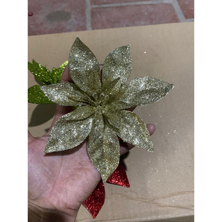 Hoa trà Đại 15 cm
