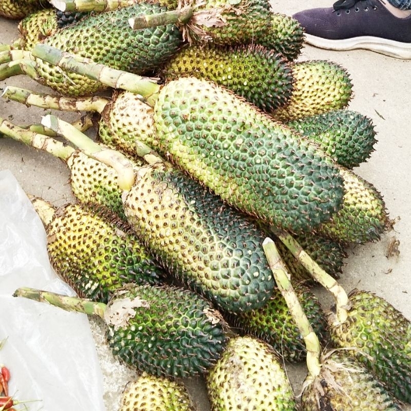 1kg quả dứa dại rừng