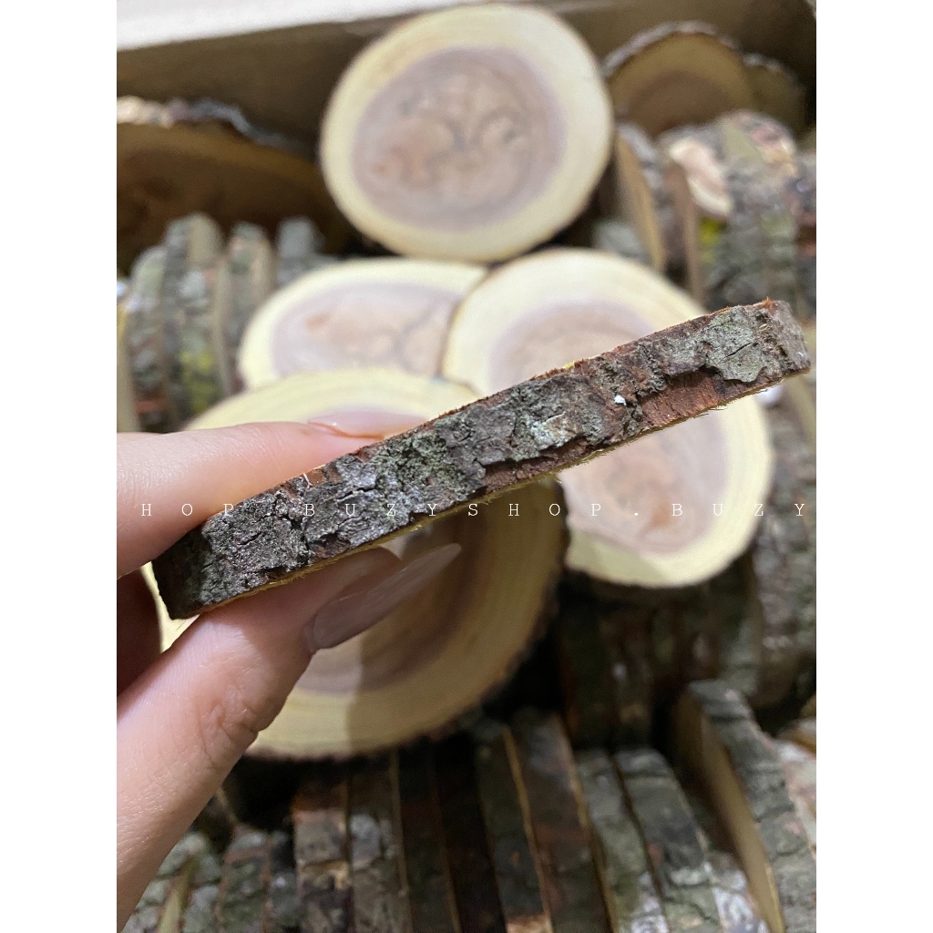 Đế gỗ thông loại dày dùng trang trí, lót ly, làm cây thông kẽm nhung