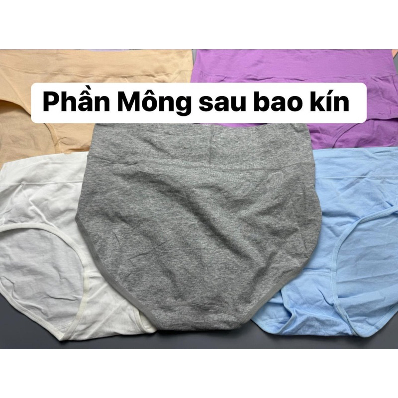 Combo 5Quần Lót Cotton Lưng Cao Xuất Dư