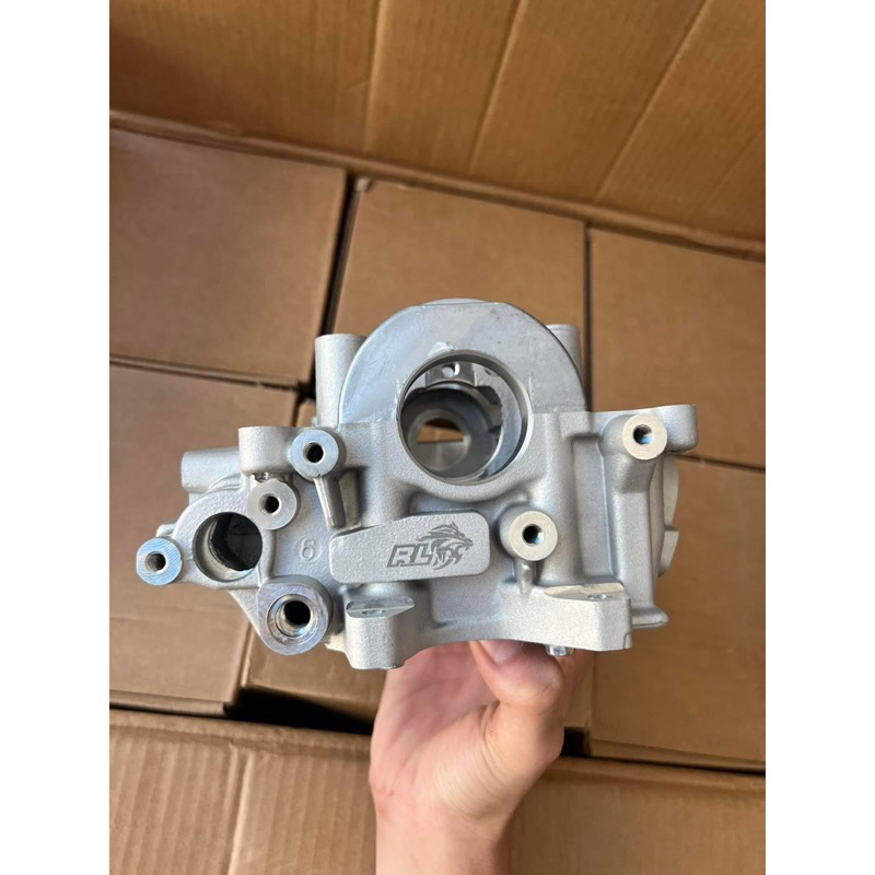 ĐẦU REDLEO VARIO 25/30