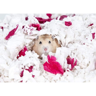Giấy Jonsanty lót chuồng hamster nguyên gói hãng