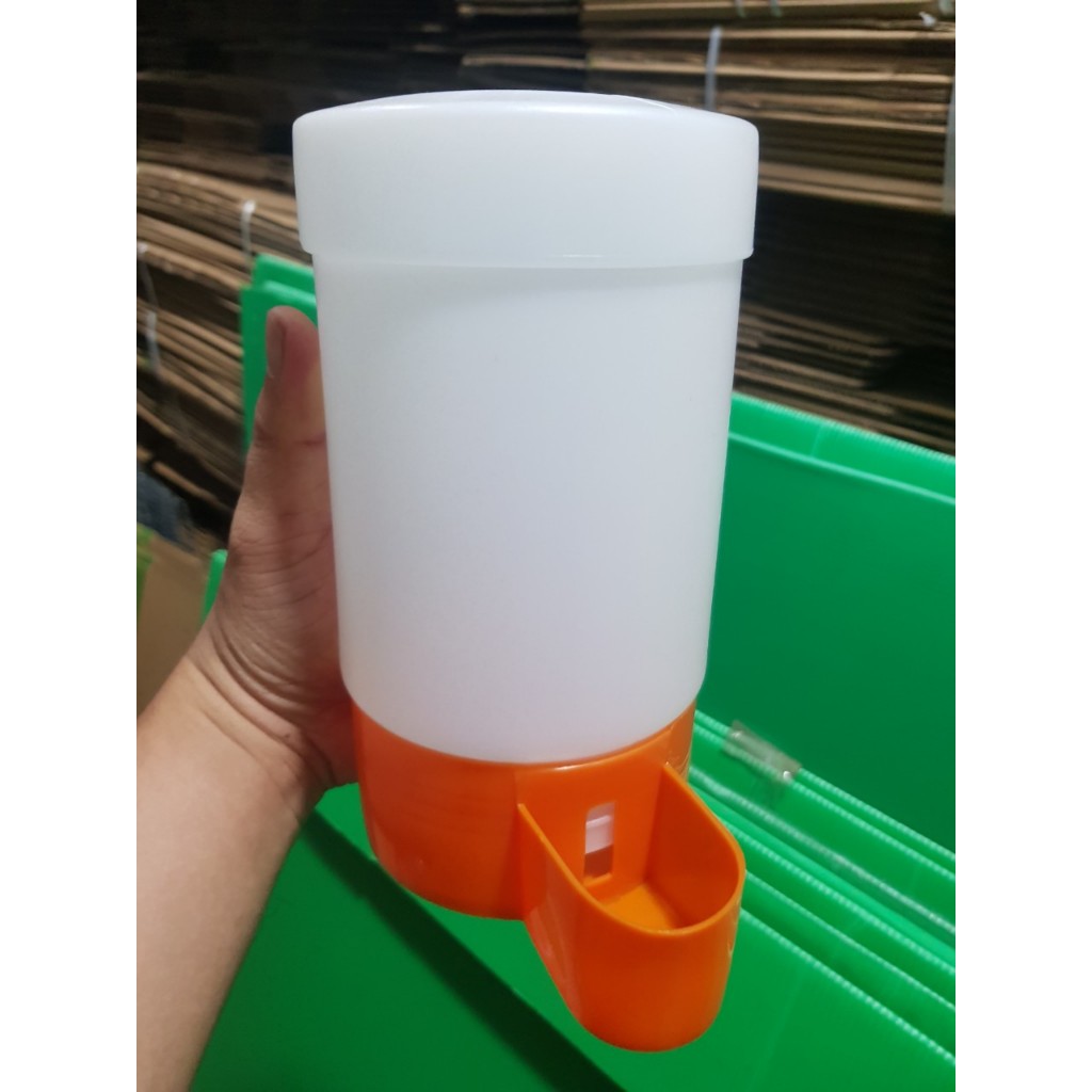 Bình nước tự động dành cho gà con