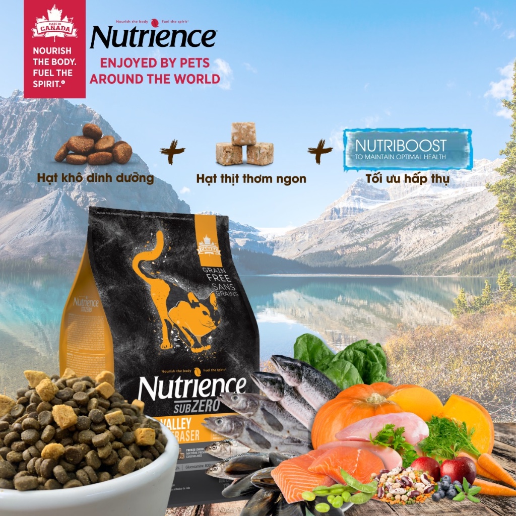 Thức Ăn Hạt Cho Mèo Nutrience Subzero Da Lông Bóng Mượt Bao 5kg 4 Loại Thịt Cá, Gà Tây, Rau Củ, Trái Cây