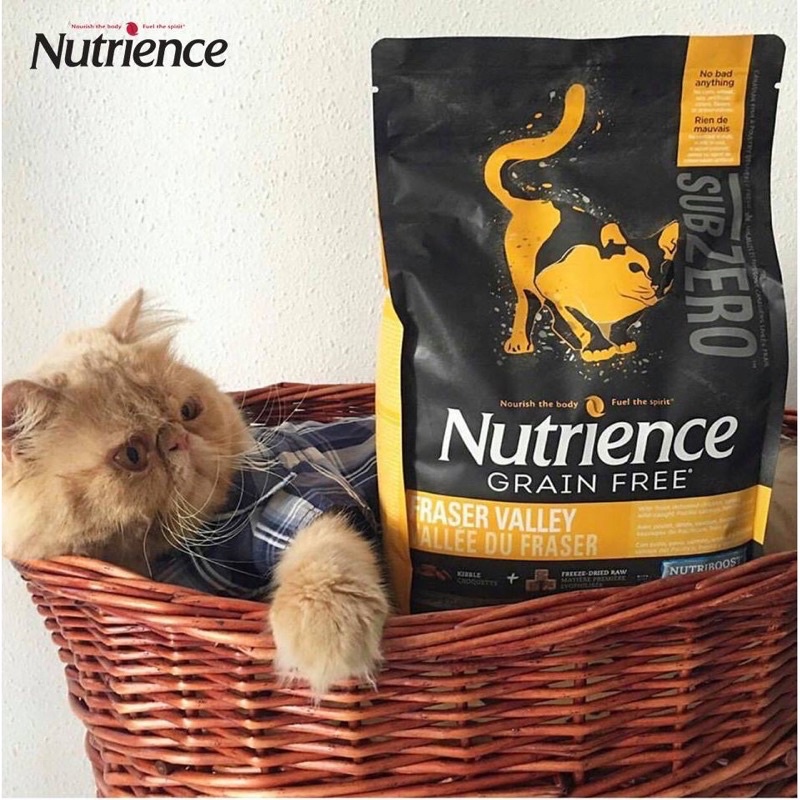 Thức Ăn Hạt Cho Mèo Nutrience Subzero Da Lông Bóng Mượt Bao 5kg 4 Loại Thịt Cá, Gà Tây, Rau Củ, Trái Cây