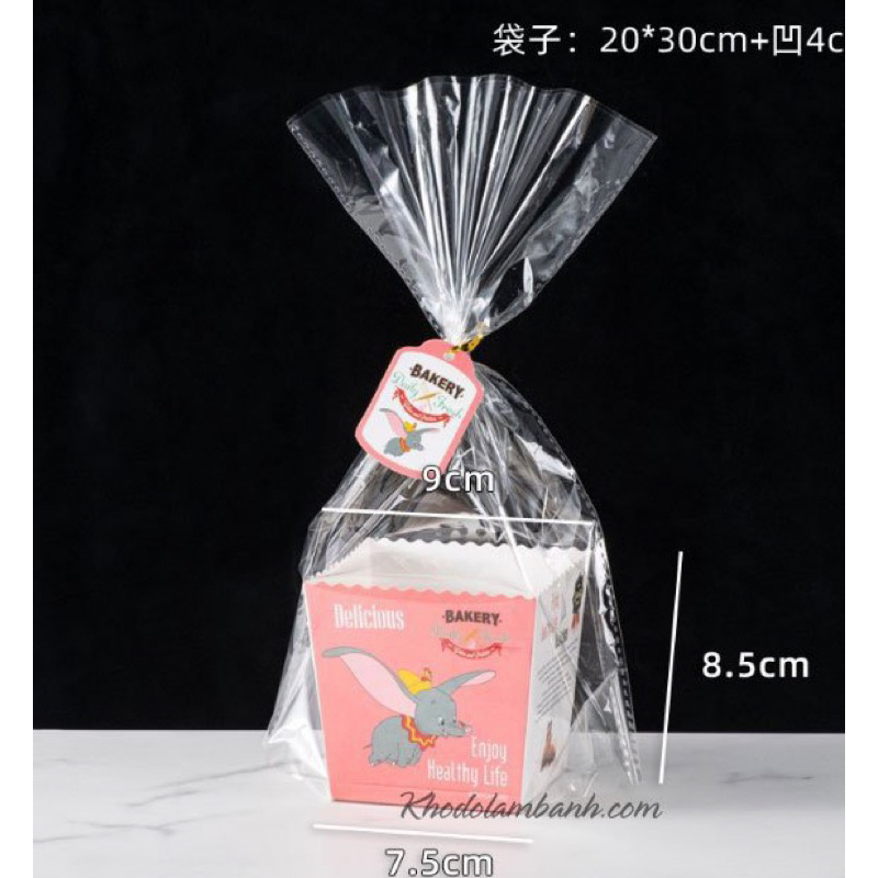 Túi đựng bánh quy đáy giấy kèm dây và tag 10c