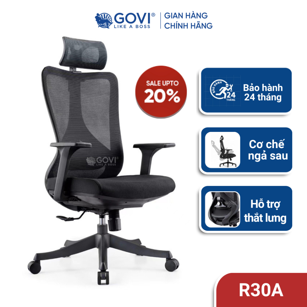 Ghế công thái học Ergonomic GOVI Ryan R30A - Tựa đầu điều chỉnh, tựa tay cố định, khóa 1 vị trí lưng thẳng