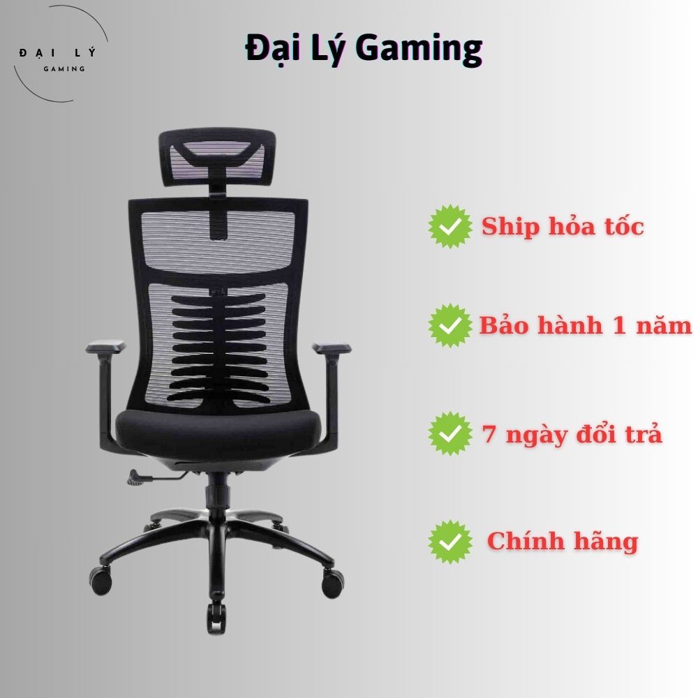 Ghế Công Thái Học Ergonomic WARRIOR Hero WEC502